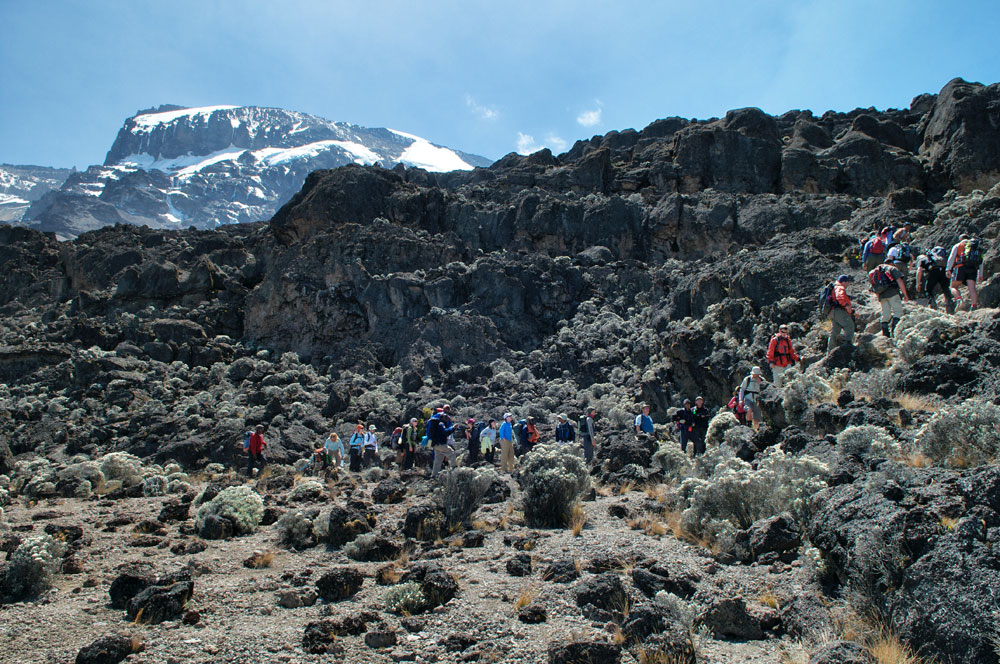 Kilimanjaro: Volcano of distinction